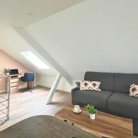 Spacieux Et Elegant Au Coeur De - Gare A Proximite Apartman *